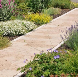 Gartenplatten (in Bahnen) aus Travertin (Troja)