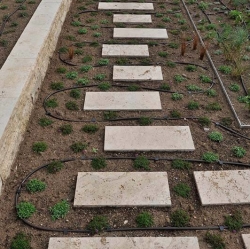 Gartenplatten (in Formaten) aus Travertin (Troja) Beet