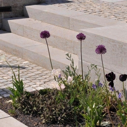 Sondermauerwerk-Memphis-Muschelkalk-(6)