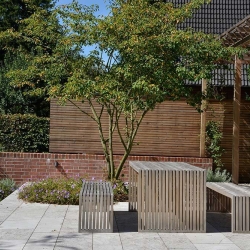 Gartenplatten-Muschelkalk-Memphis-Ra-massiv