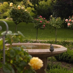 Steinbrunnen-Travertin-Troja