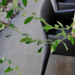 Bodenplatten-in-Bahnen-aus-Muschelkalk-Memphis-(1)