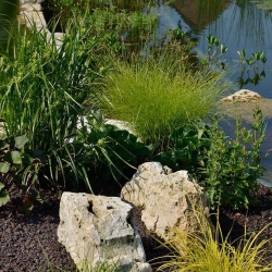 Findling-naturbelassen-(5)