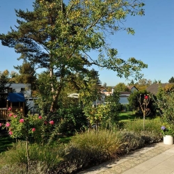 Bodenplatten-in-Bahnen-aus-Travertin-Troja-(3)