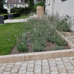 Rasenkanten-Travertin-Troja-(1)