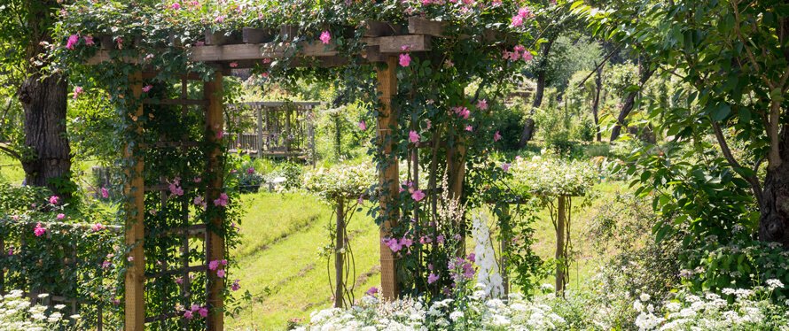 Gartengestaltung-kleiner-Garten-mit-Toren