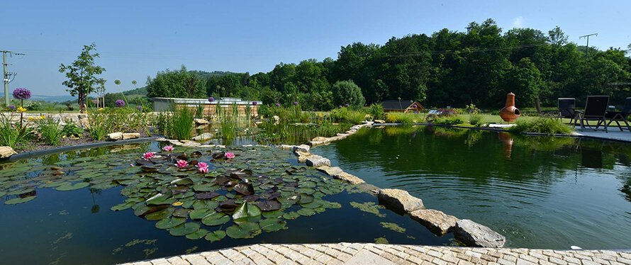 Gartengestaltung mit Palisaden