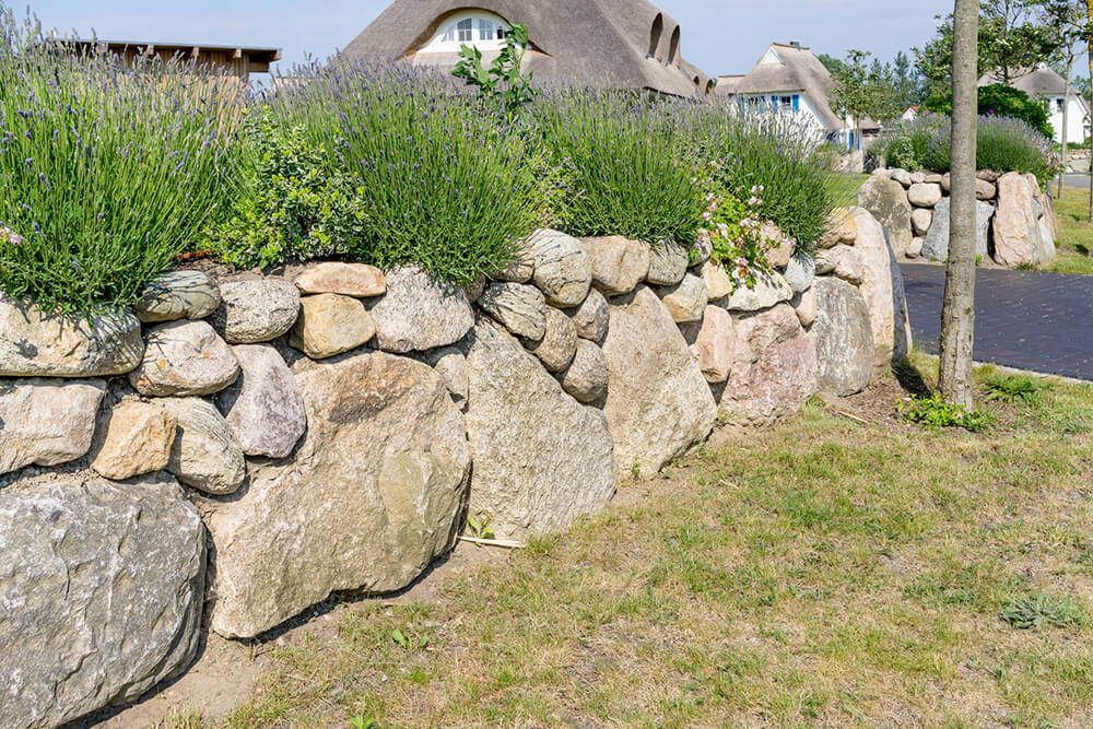 Mischzaun aus losen Steinen und Pflanzen