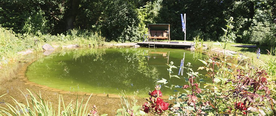 Schwimmteich mit Bepflanzung