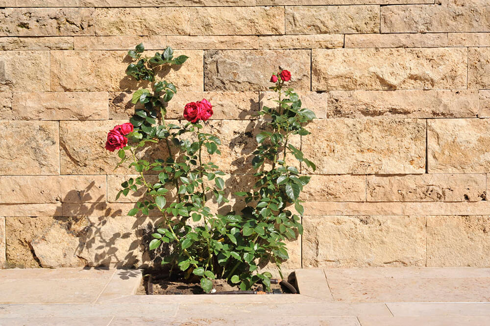 Rustikale Wand aus Naturstein