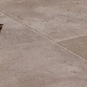 Natursteinfliese Travertin Troja (Römischer Verband)